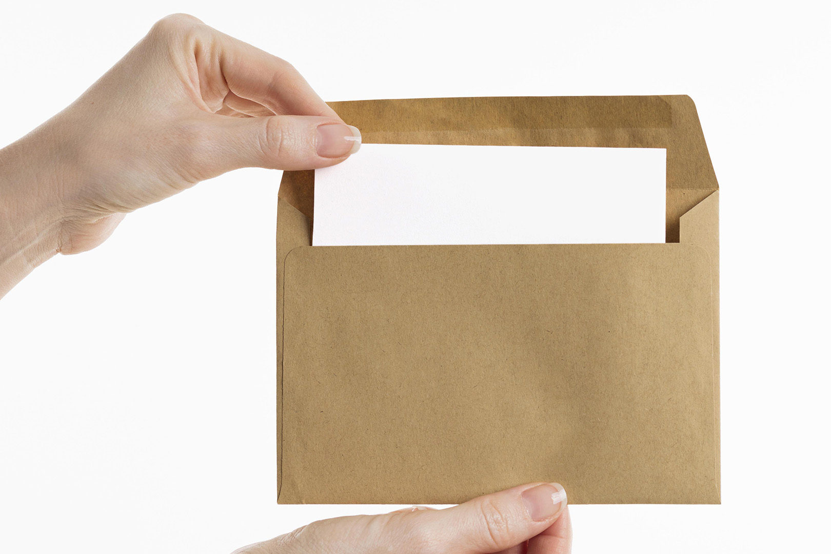 Panazol : Résultats des élections